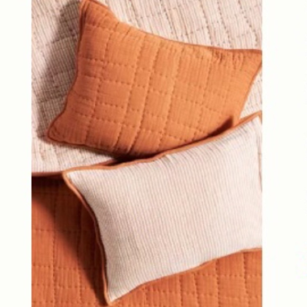 Anthropologie Set Of Two Reversible Airy Gauze Standard Shams New With Tag